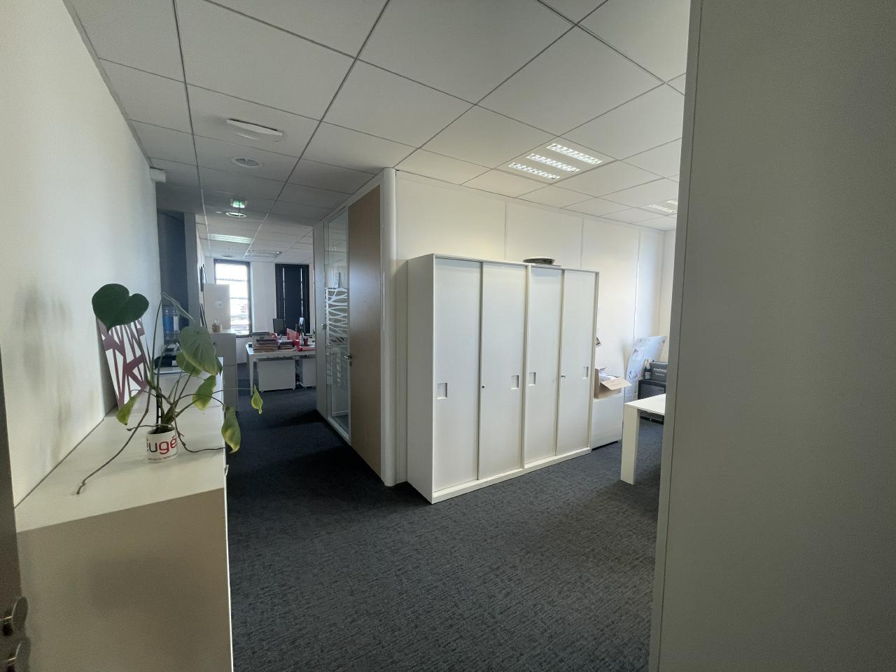 Bureau Toulouse 1959m² Location bureau Toulouse Haute-Garonne OLBUR2423058 16